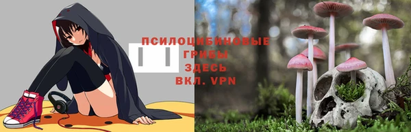 молекула духа Белоозёрский