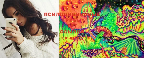 MDMA Белокуриха