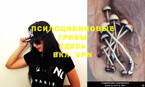 прущая мука Балабаново