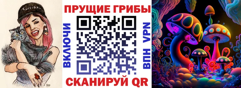 Псилоцибиновые грибы прущие грибы ссылка на мегу зеркало Кологрив